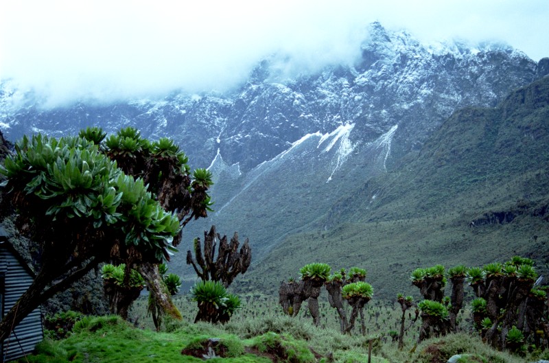 Rwenzori (Margherita Peak), Uganda